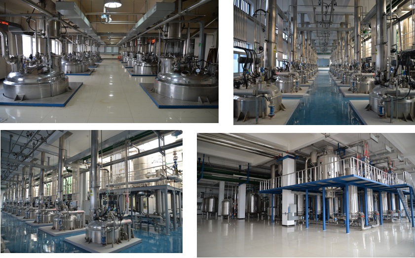 东升国际官网-不凡成就非凡,相信品牌力量