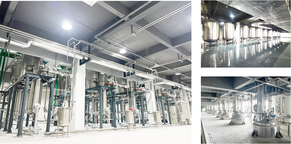 东升国际官网-不凡成就非凡,相信品牌力量