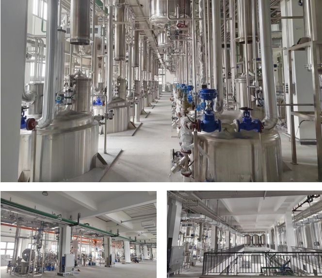 东升国际官网-不凡成就非凡,相信品牌力量